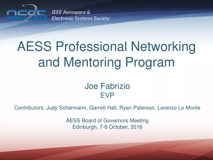 aess professional networking and mentoring progra m
