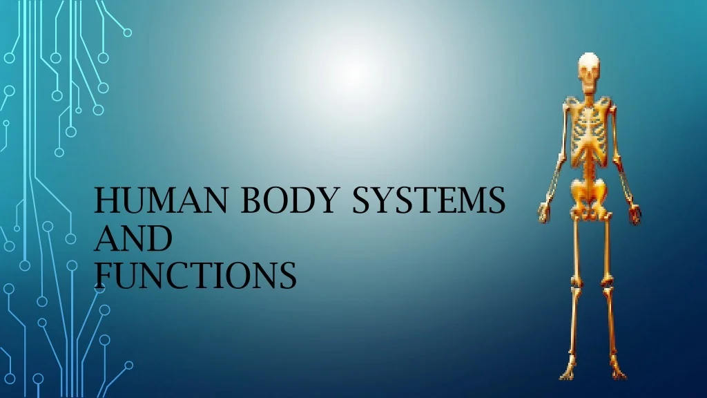 Body Function PPT - Human Body Systems and Functions PowerPoint Presentation, free ...