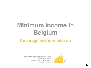 Minimum income in Belgium