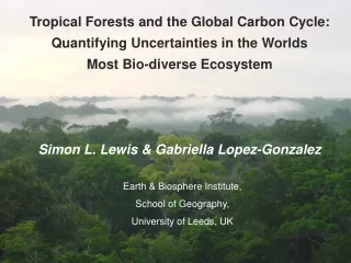 Tropical Forests and the Global Carbon Cycle: Quantifying Uncertainties in the Worlds