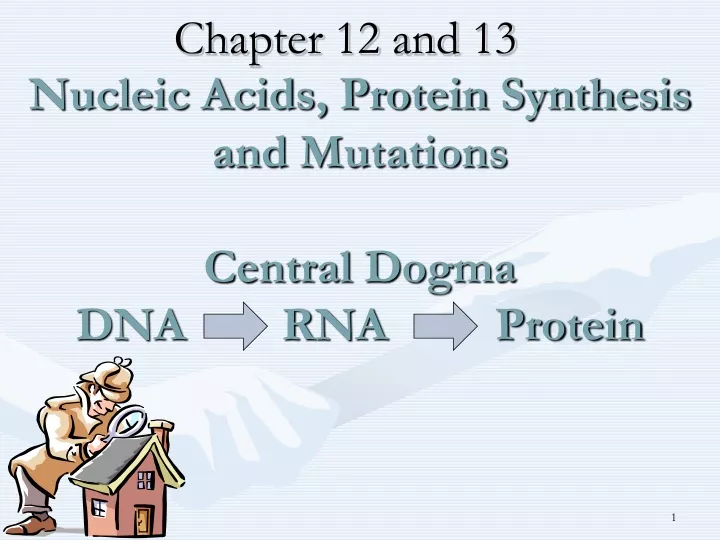 nucleic acids protein synthesis and mutations central dogma dna rna protein
