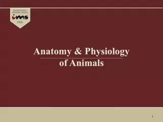 Anatomy &amp; Physiology  of Animals