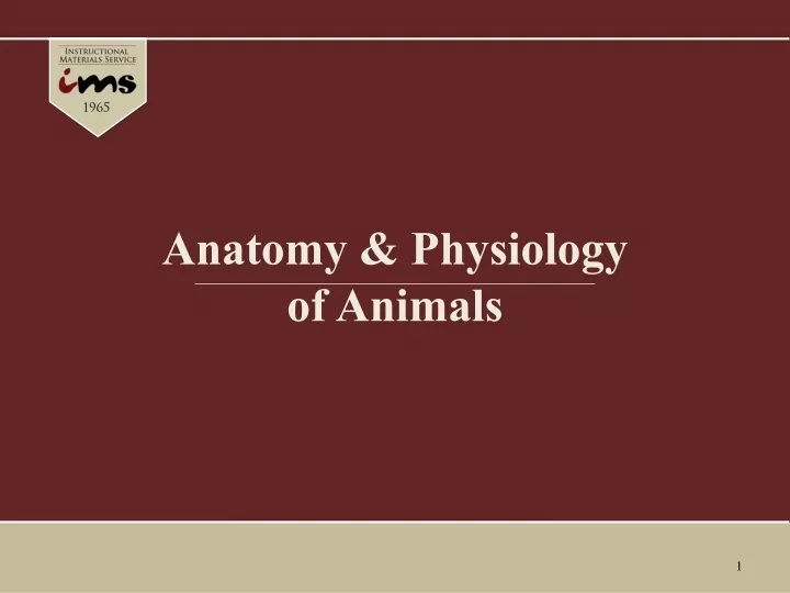 anatomy physiology of animals
