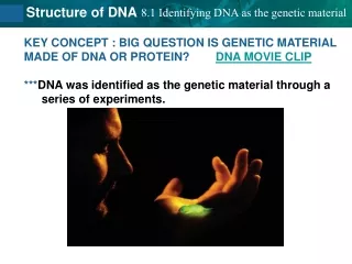 KEY CONCEPT : BIG QUESTION IS GENETIC MATERIAL  MADE OF DNA OR PROTEIN?         DNA MOVIE CLIP