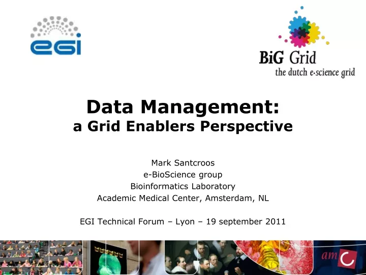 data management a grid enablers perspective