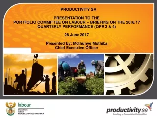 PRODUCTIVITY SA  PRESENTATION TO THE  PORTFOLIO COMMITTEE ON LABOUR – BRIEFING ON THE 2016/17