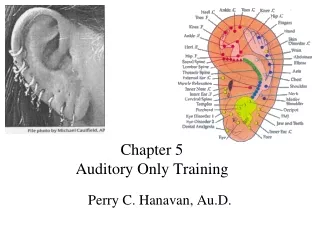 Chapter 5 Auditory Only Training