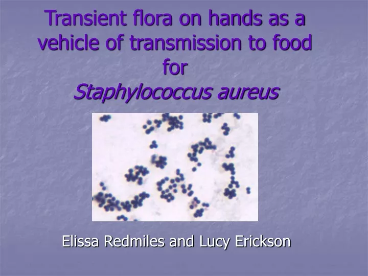 transient flora on hands as a vehicle of transmission to food for staphylococcus aureus