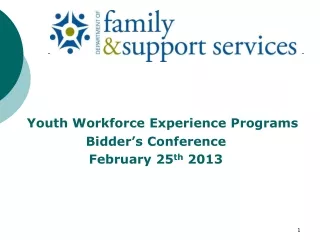 Youth Workforce Experience Programs