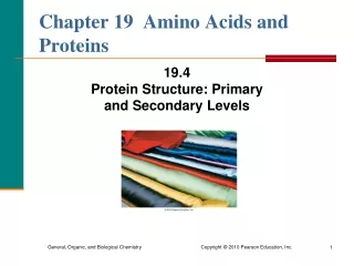 Chapter 19  Amino Acids and Proteins