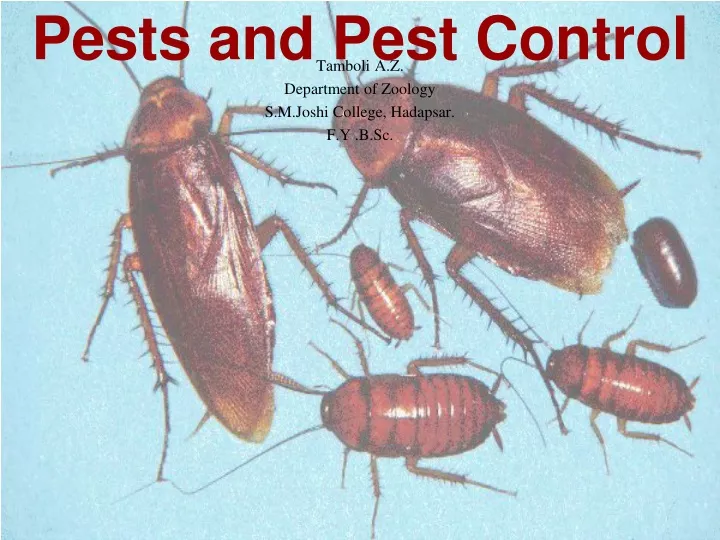 pests and pest control