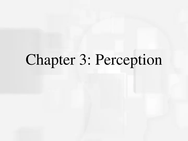 chapter 3 perception