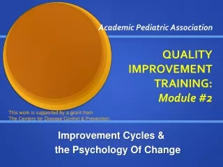 Academic Pediatric Association QUALITY IMPROVEMENT TRAINING:  Module #2