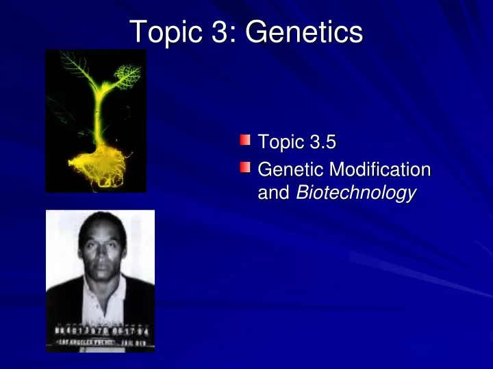 topic 3 genetics