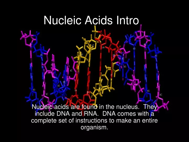 nucleic acids intro