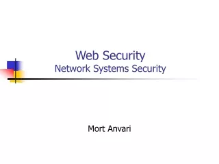 Web Security  Network Systems Security