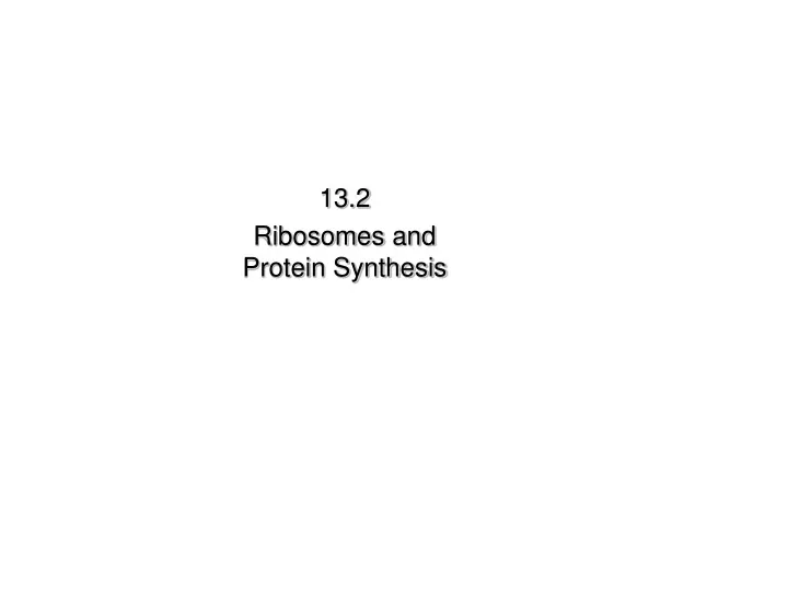 13 2 ribosomes and protein synthesis