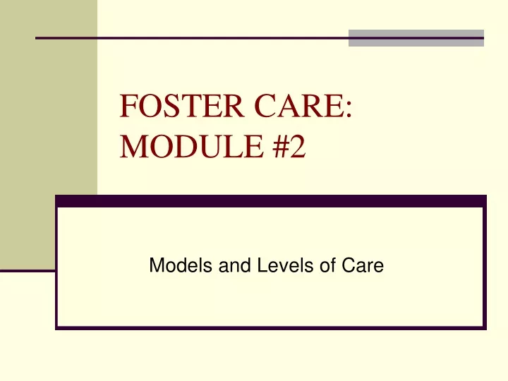foster care module 2