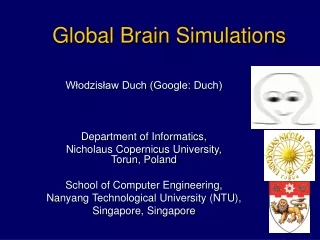 Global Brain Simulations
