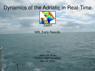 Dynamics of the Adriatic in Real-Time