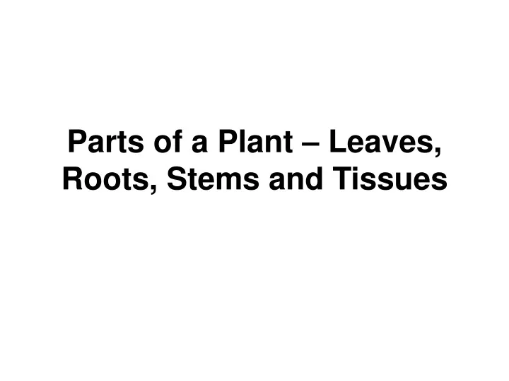 parts of a plant leaves roots stems and tissues