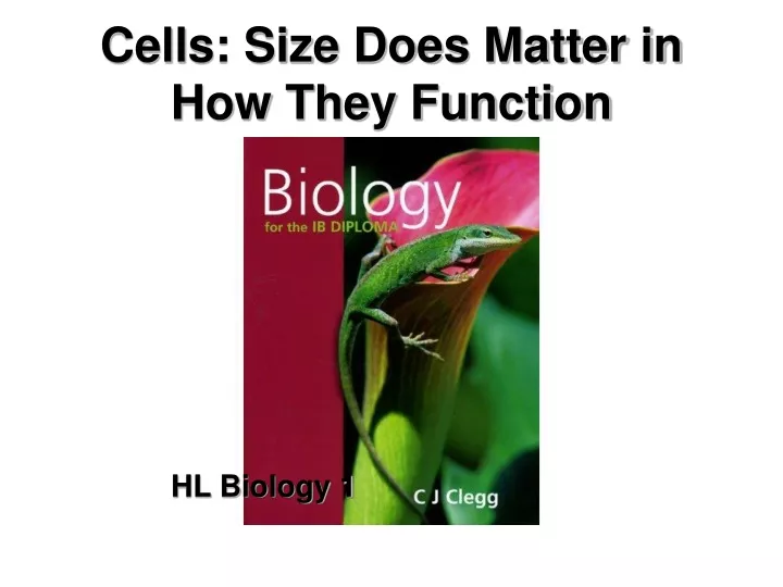 cells size does matter in how they function