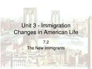 Unit 3 - Immigration Changes in American Life