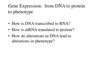 Gene Expression:  from DNA to protein to phenotype