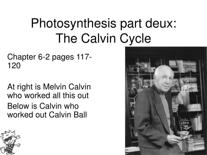 photosynthesis part deux the calvin cycle