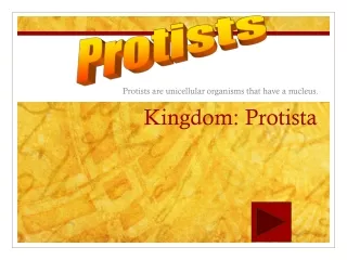 Kingdom: Protista