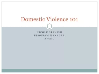 Domestic Violence 101