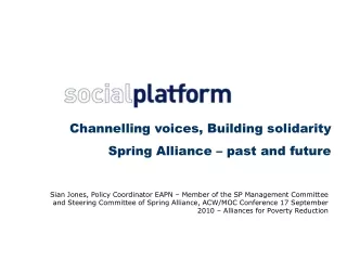 Channelling  voices, Building solidarity Spring Alliance – past and future