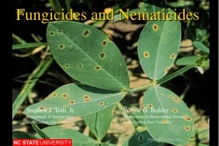 Fungicides and  Nematicides