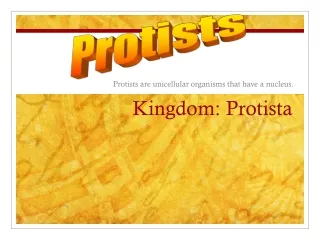 Kingdom: Protista