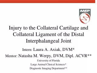 Injury to the Collateral Cartilage and Collateral Ligament of the Distal Interphalangeal Joint