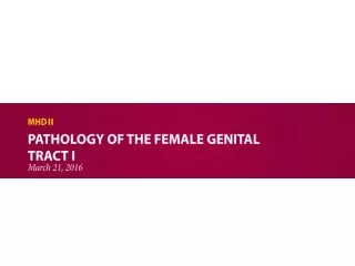 Pathology of the female Genital Tract I