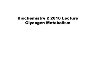Biochemistry 2 2016 Lecture  Glycogen Metabolism