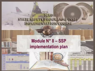 Module N° 8 – SSP implementation plan