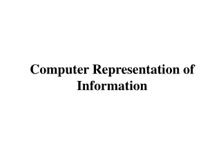 Computer Representation of Information