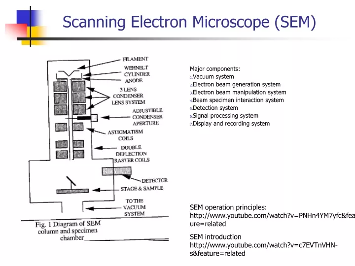 scanning electron microscope sem