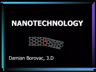 NANOTECHNOLOGY    Damian Borovac, 3.D