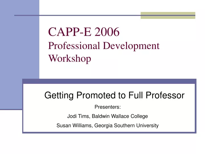 capp e 2006 professional development workshop