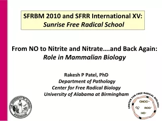 From NO to Nitrite and Nitrate….and Back Again: Role in Mammalian Biology