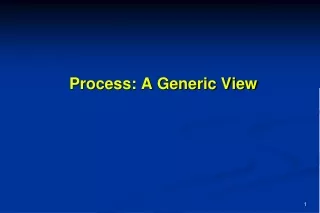 Process: A Generic View