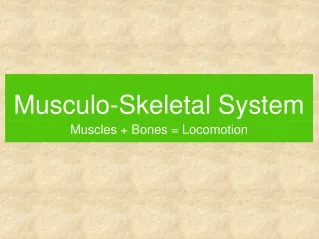 Musculo-Skeletal System