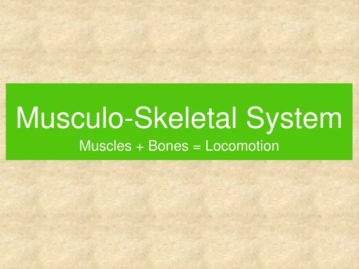 musculo skeletal system