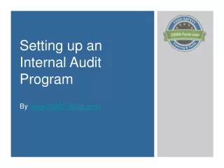 Setting up an Internal Audit Program