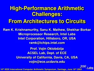 High-Performance Arithmetic Challenges:  From Architectures to Circuits