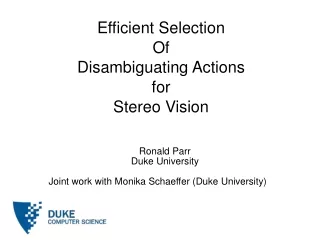 Efficient Selection Of Disambiguating Actions for Stereo Vision