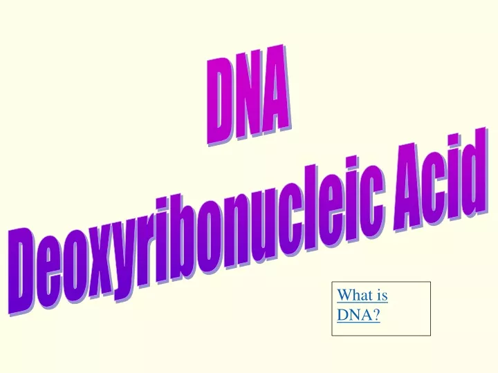 dna deoxyribonucleic acid